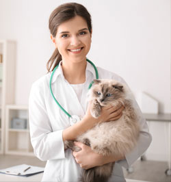 person with cat