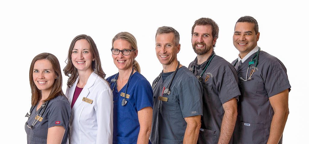 Carp Road Animal Hospital Staff