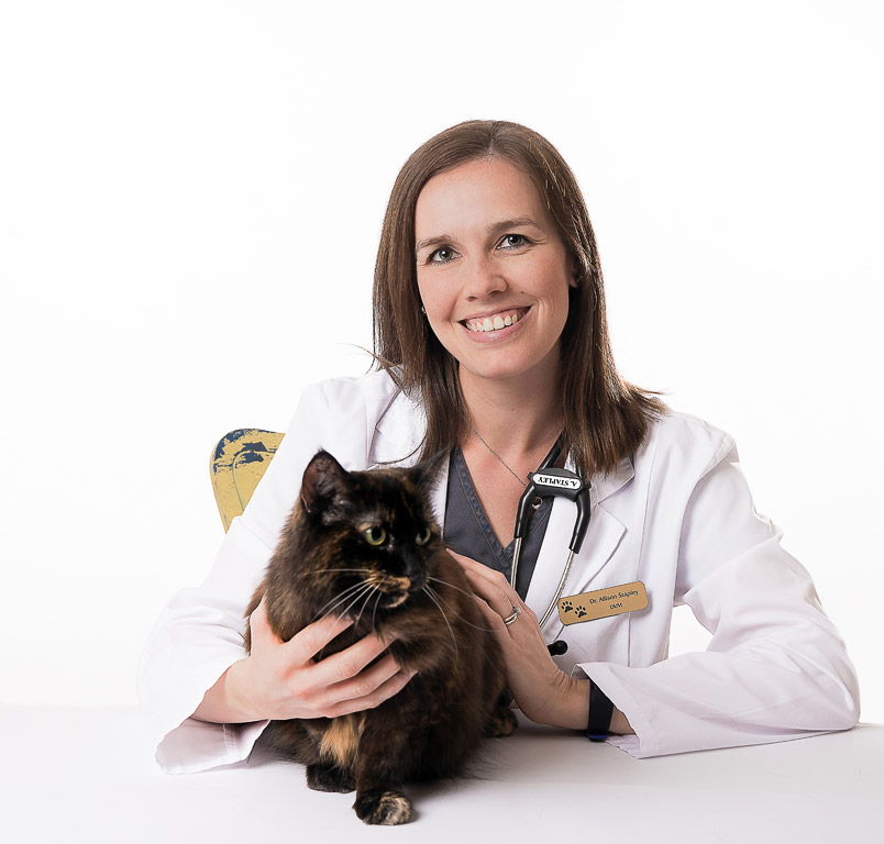 Dr Allison Stapley Dr Allison Stapley