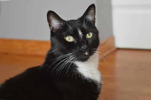 Leroy